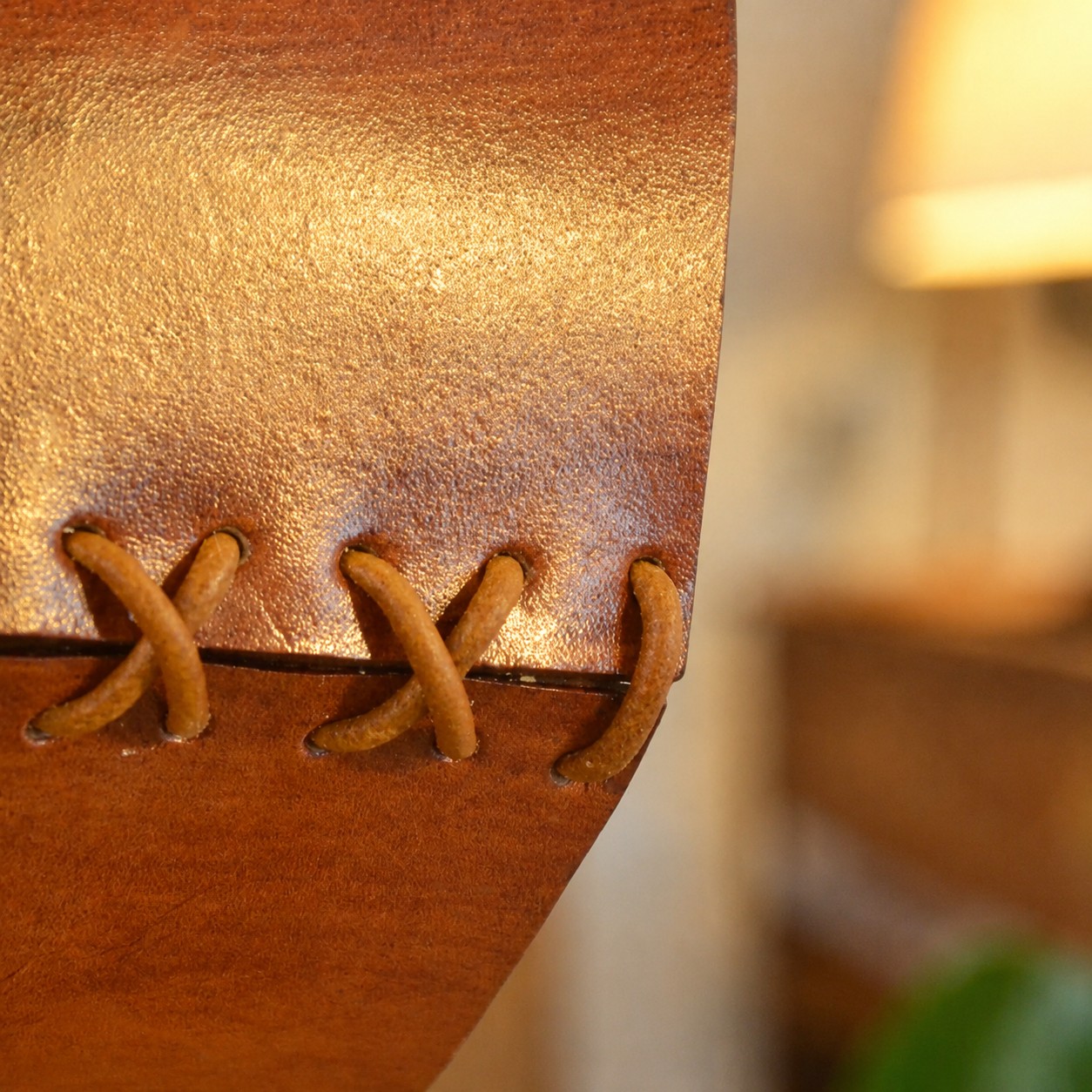 Warm leather texture and laced edge close-up