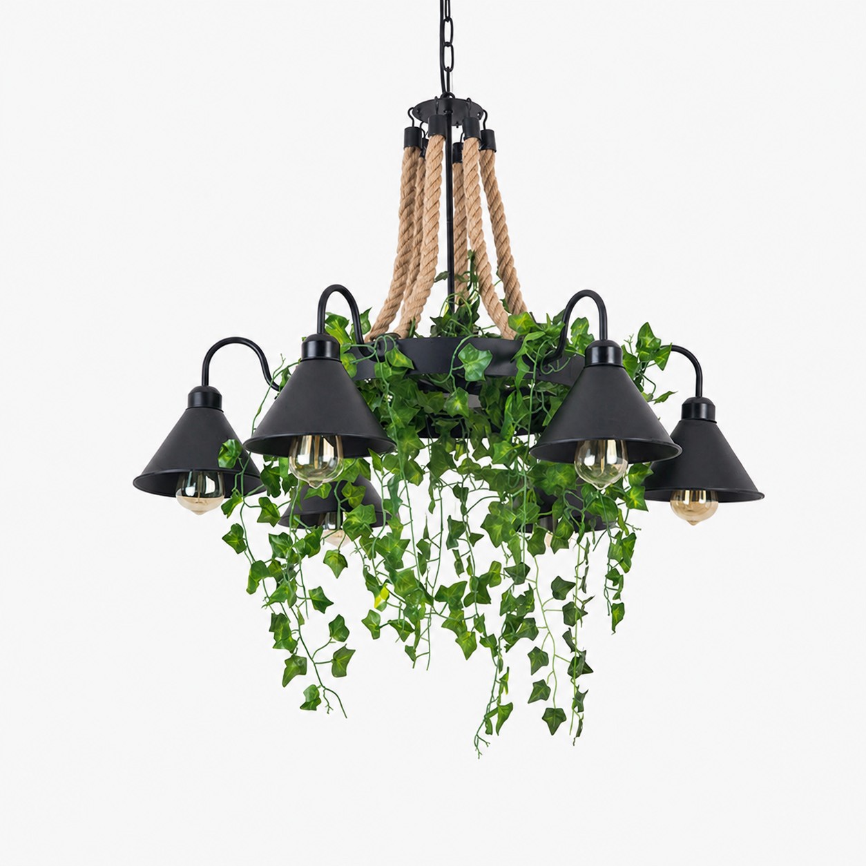 6 luces / Vegetación