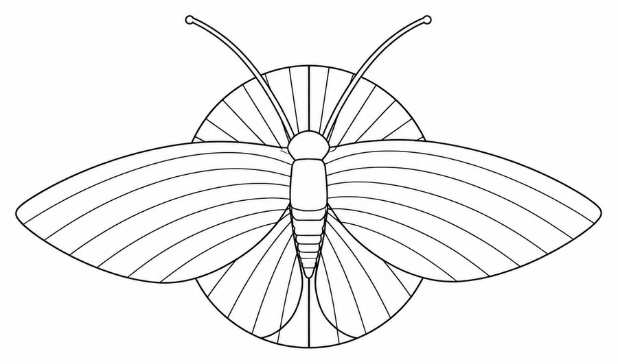Line drawing of the maize moth wall sconce