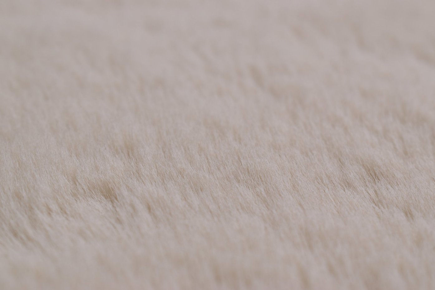 Tapis de salon très doux AVA