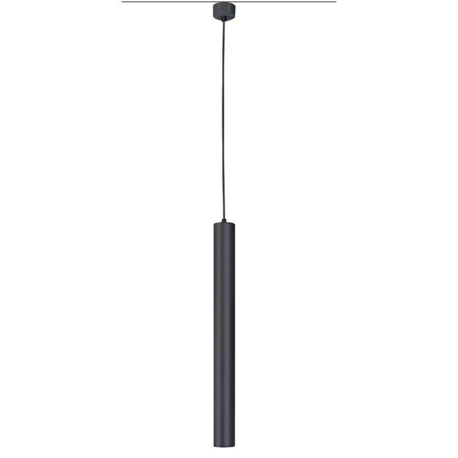 Suspension    BOLONIA