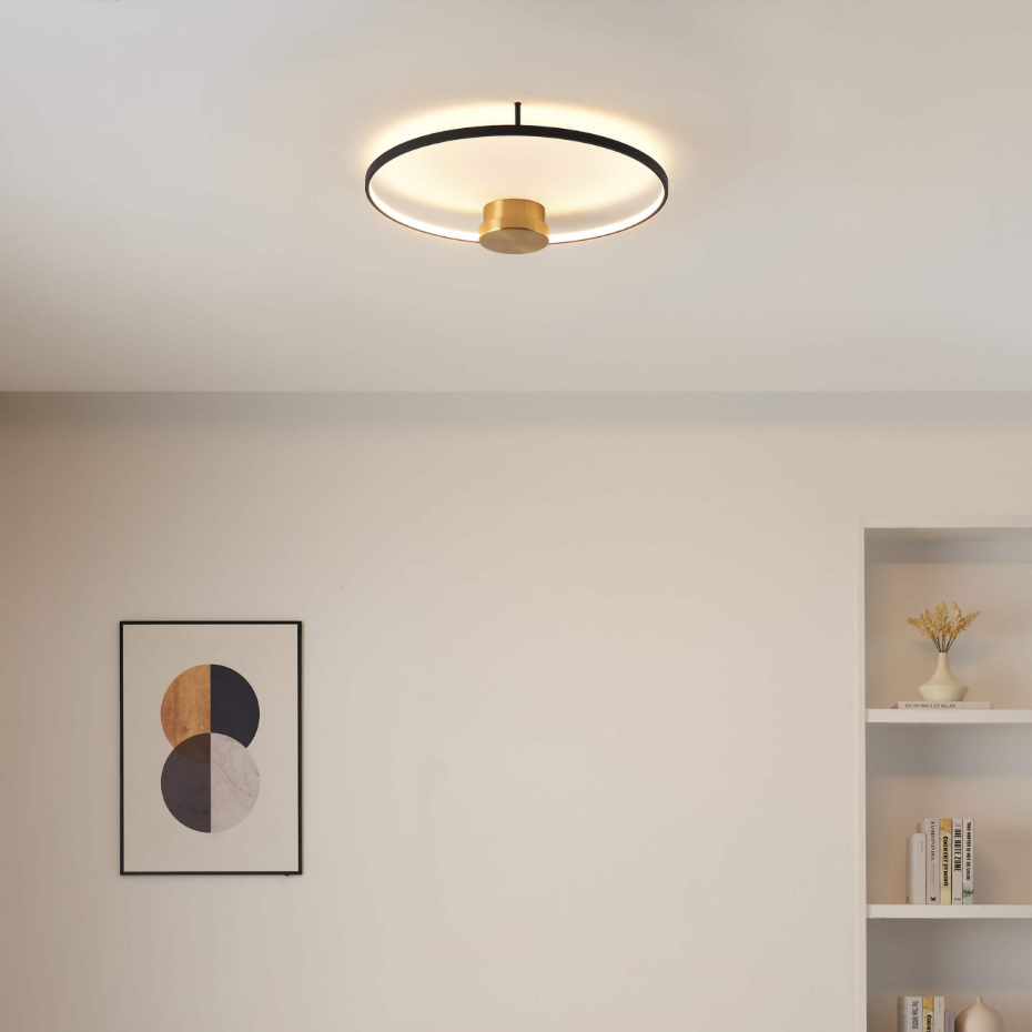 Plafonnier ou applique dimmable - ALISA