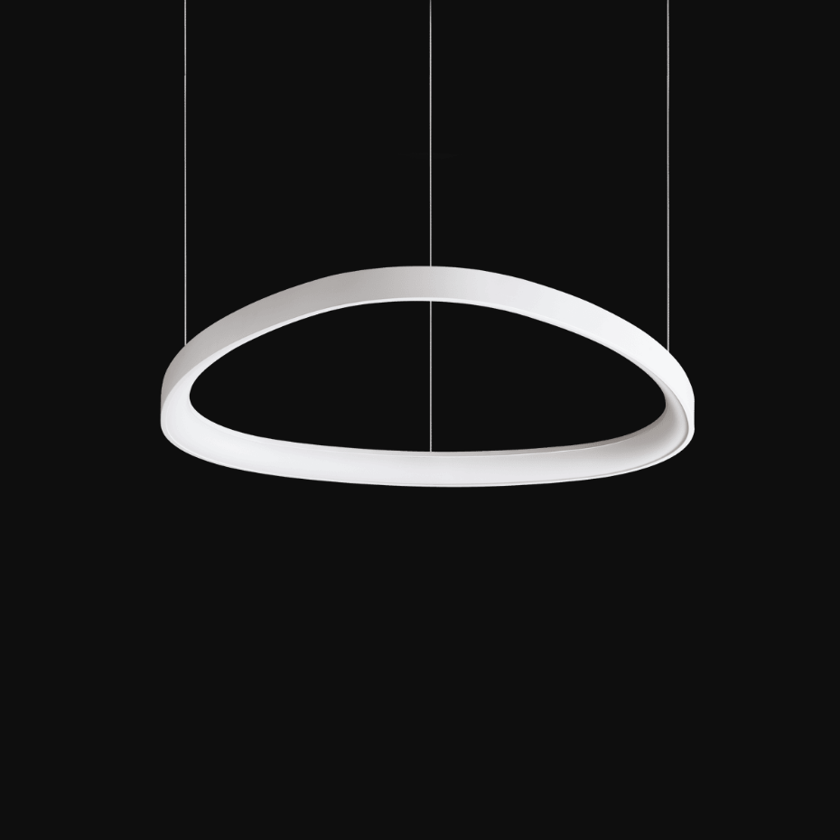 Suspension    GEMINI