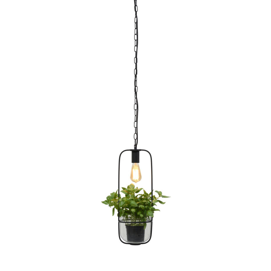 Lampe À Suspension Métal FLORENCE