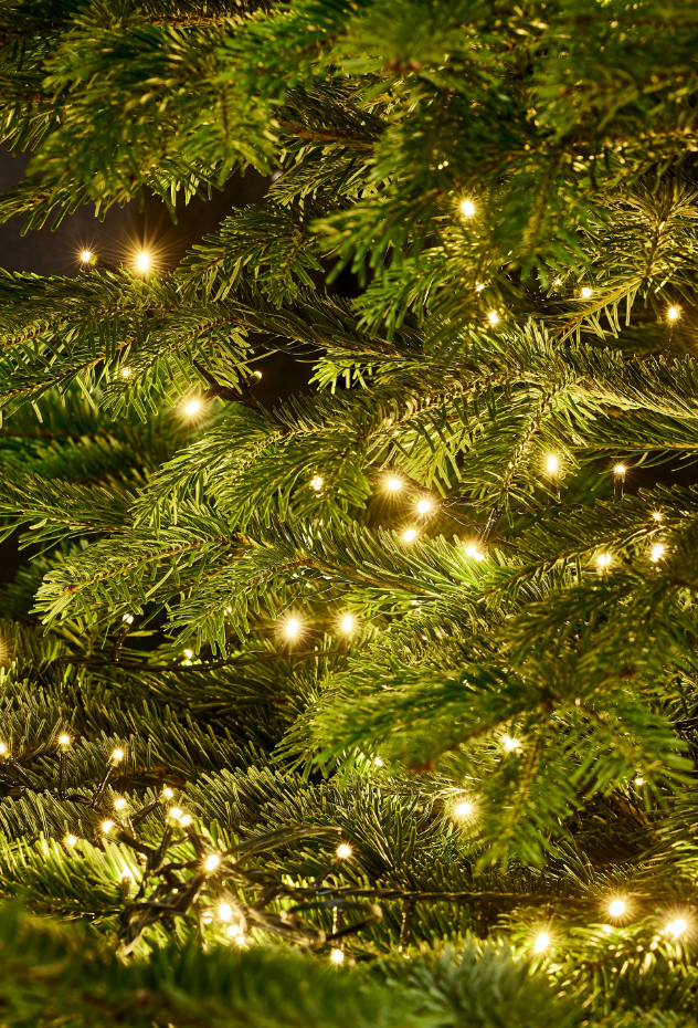 Guirlande lumineuse 240 LED