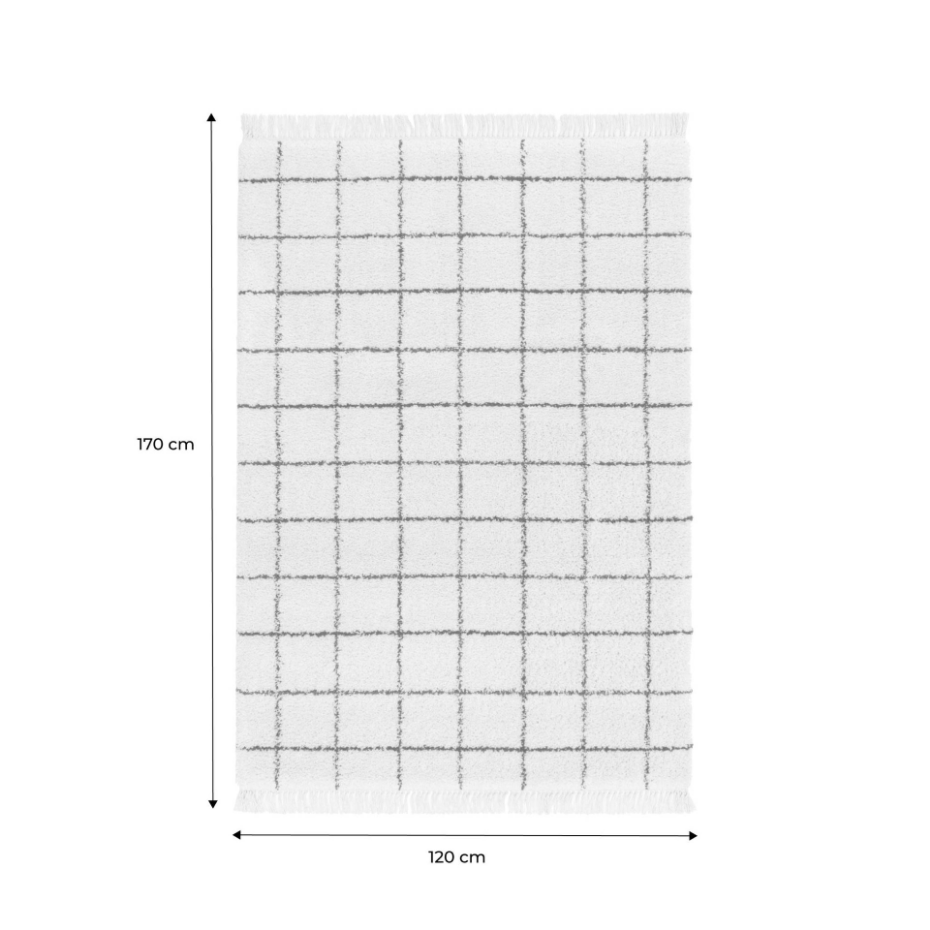 Tapis intérieur shaggy motif quadrillage multicolore avec franges EDWARD