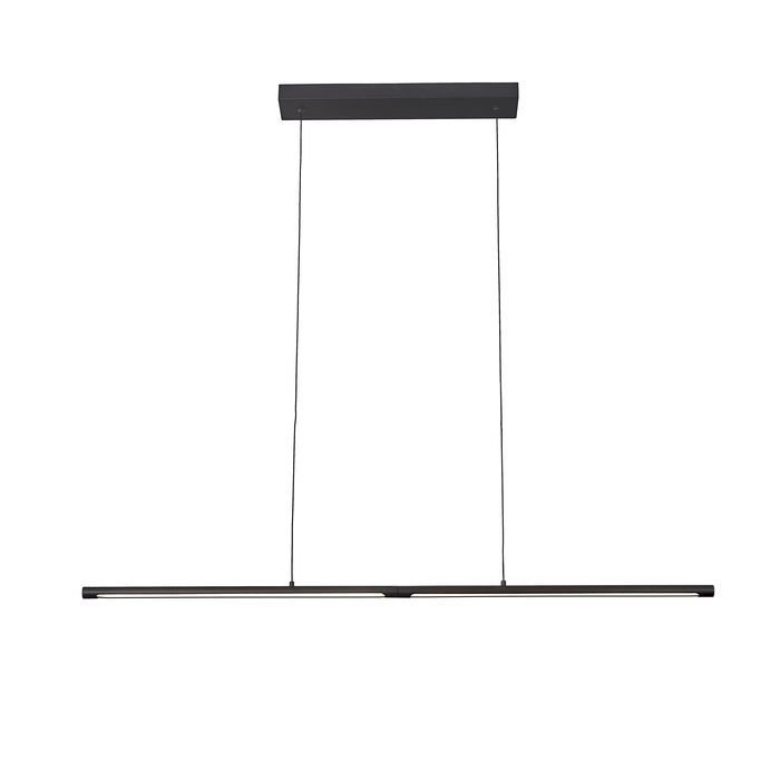 Suspension    TORCH