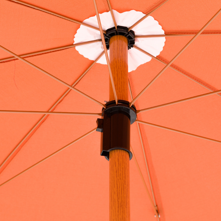 Parasol à franges, Biara