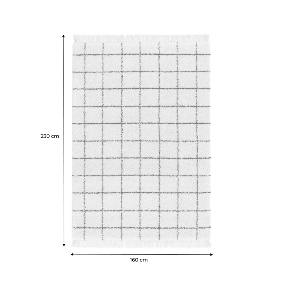 Tapis intérieur shaggy motif quadrillage multicolore avec franges EDWARD