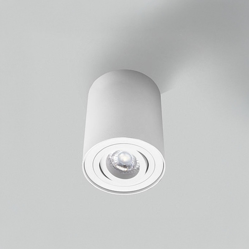 Spot Cylindrique Blanc Orientable Essence