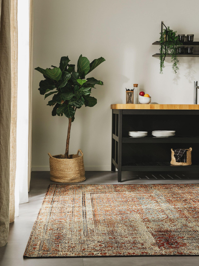 Tapis d'extérieur & intérieur ARTIS