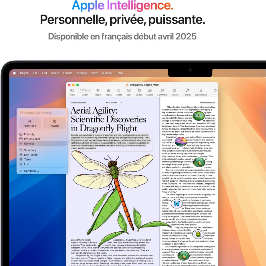 Ordinateur Apple Air 13' M4 CPU10 GPU8 16Go 256Go Minuit