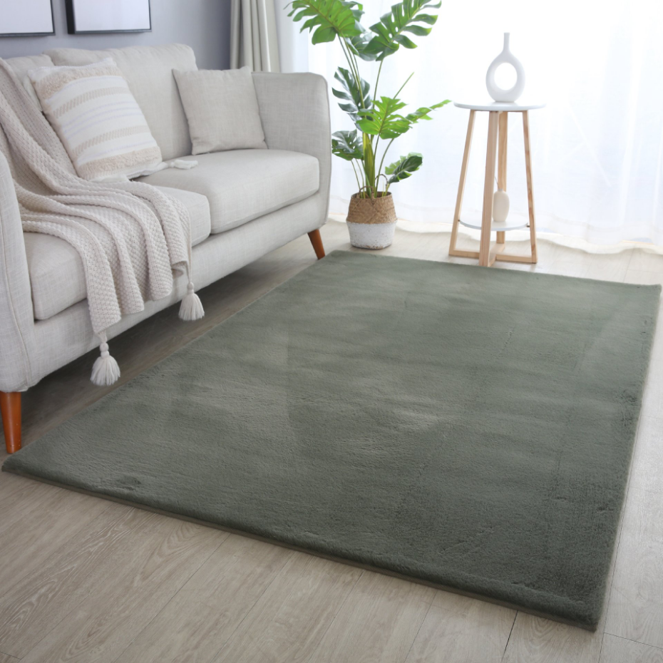 Tapis de salon doux BARROW