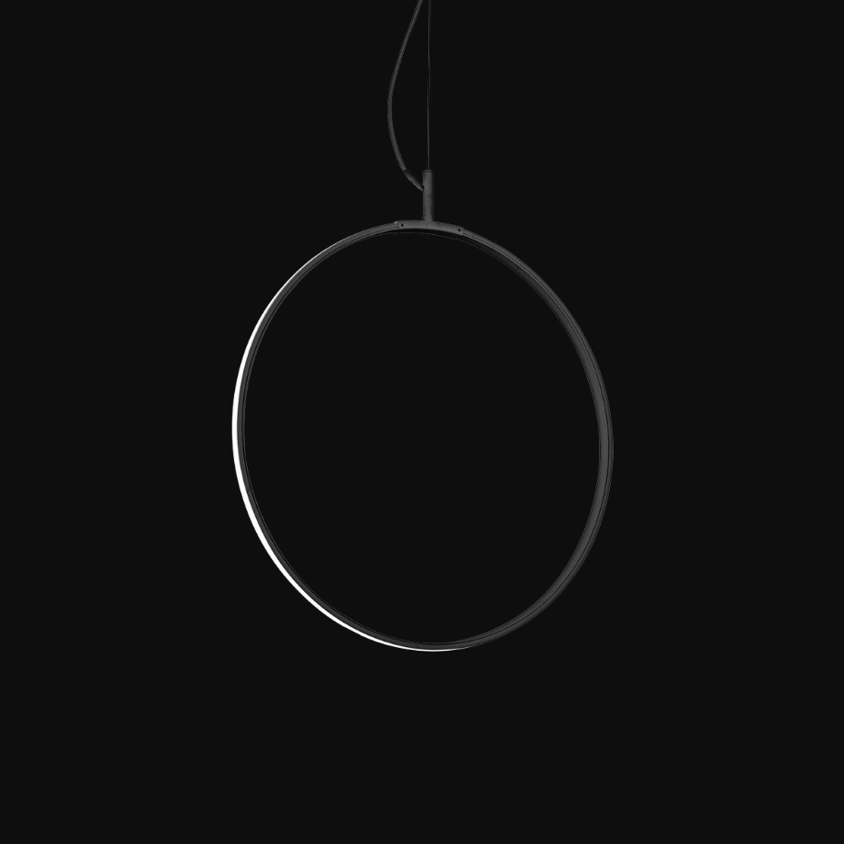 Suspension    CIRCUS