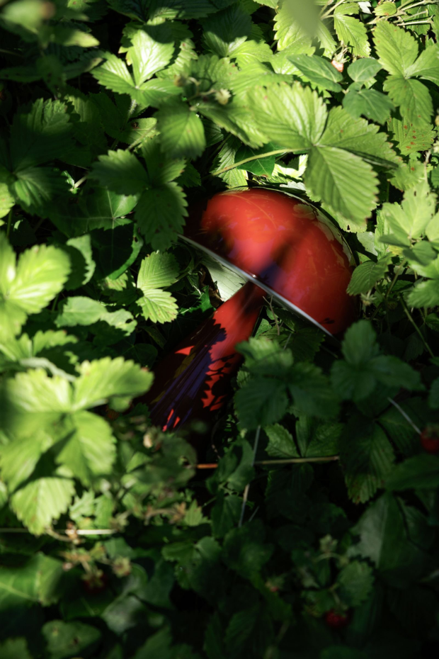 Lampe portable en fer et polycarbonate MUSH