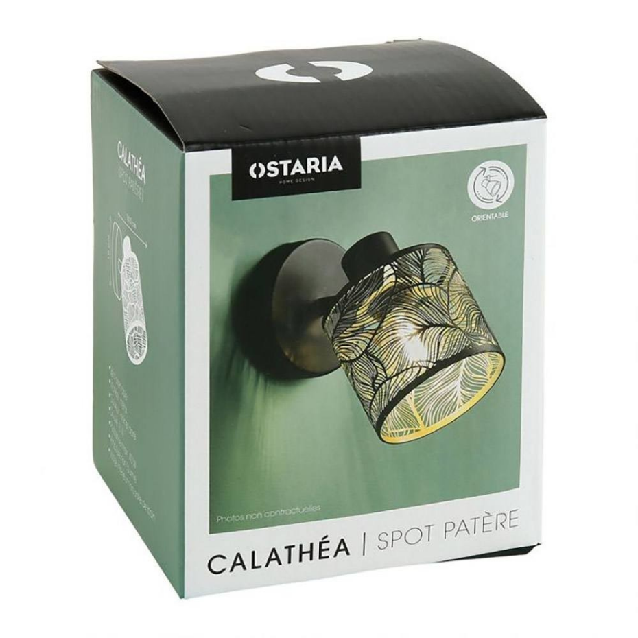 Applique Spot Orientable Calathéa Doré