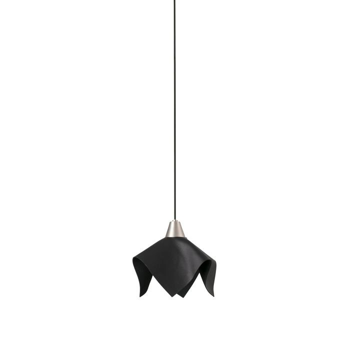 Suspension    FAUNA