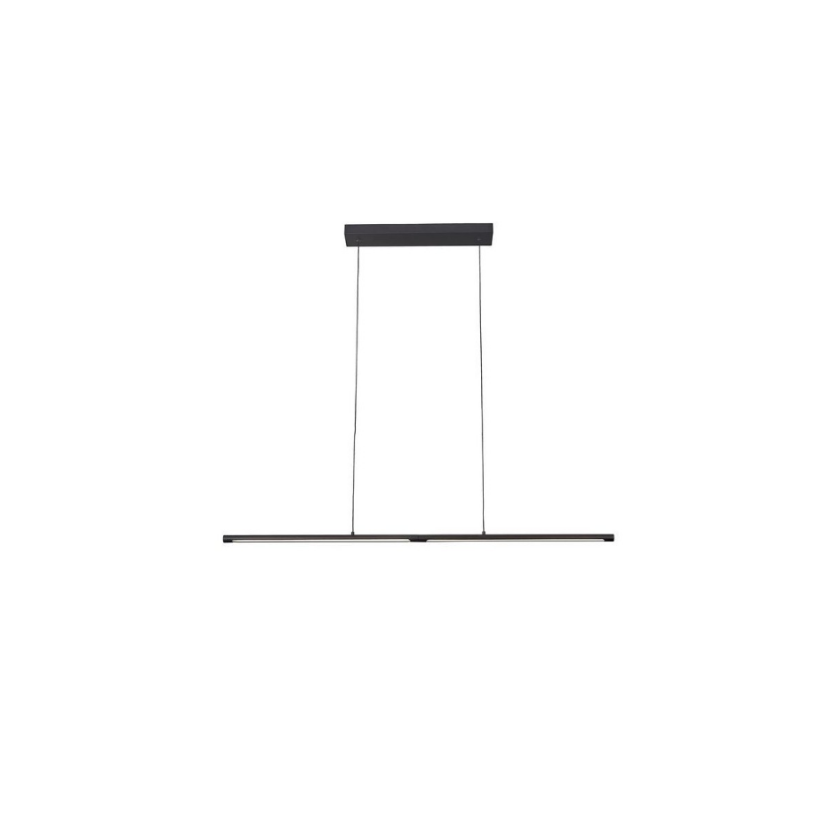 Suspension    TORCH