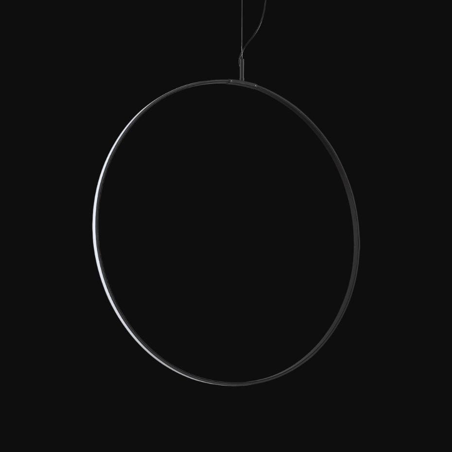 Suspension    CIRCUS