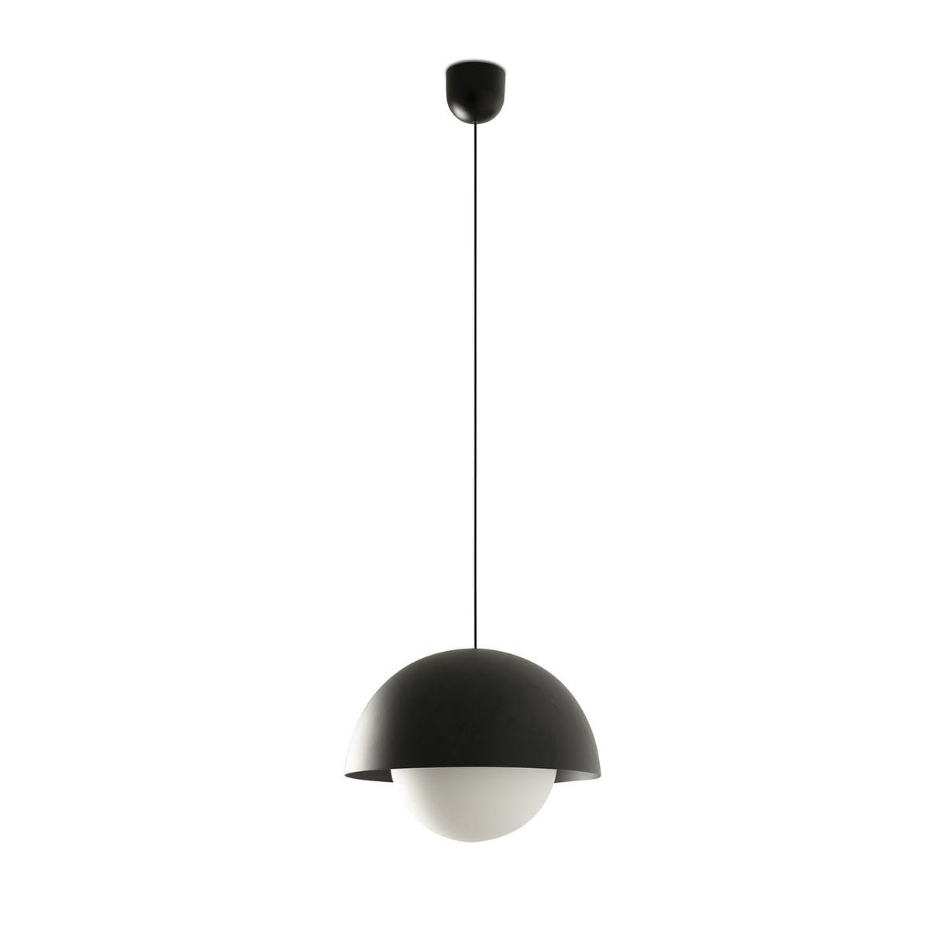 Suspension    MARISOL