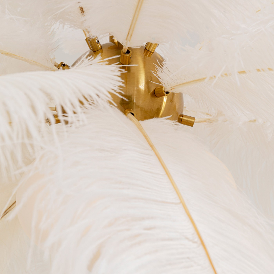 Suspension plumes