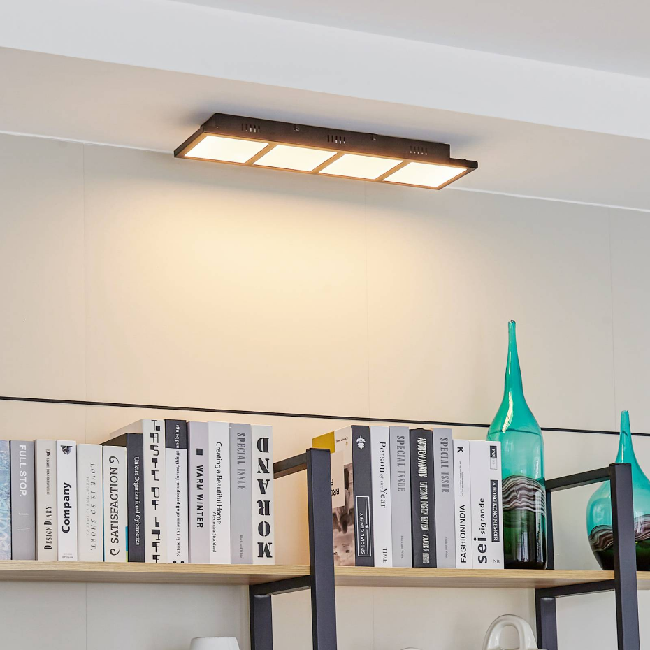 Plafonnier  moderneLED, Raymie