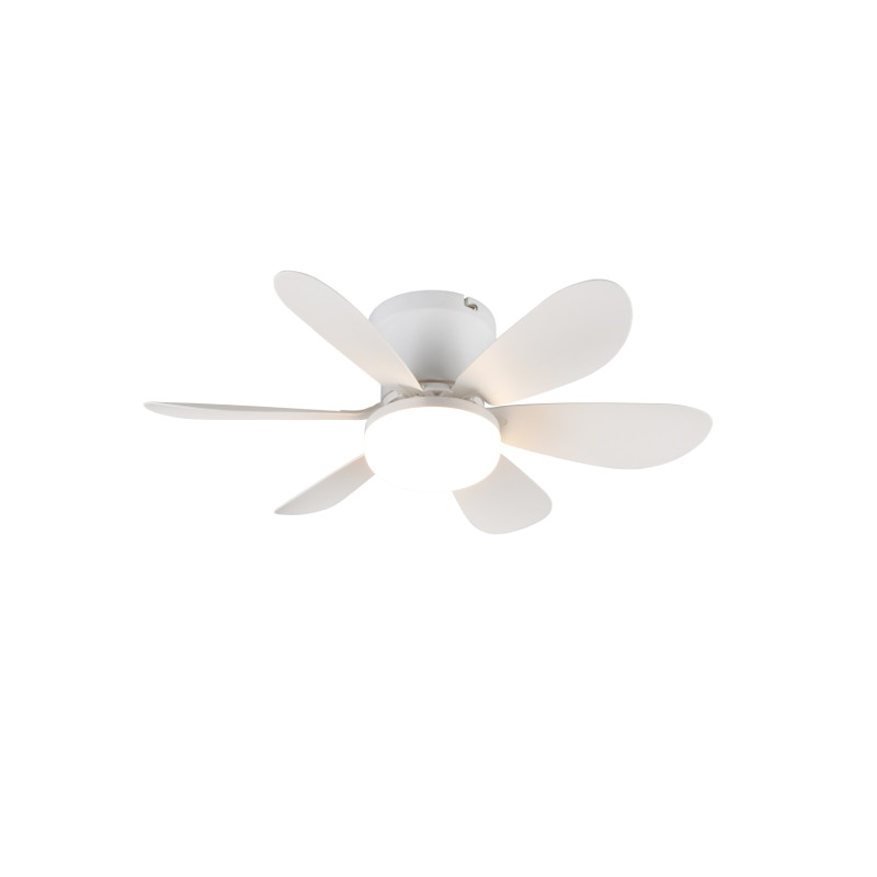 Ventilateur, LUND