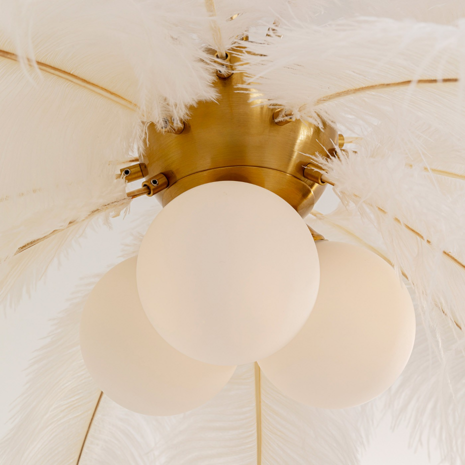 Suspension plumes