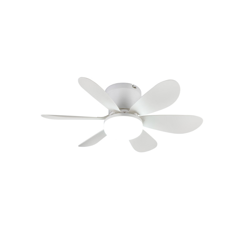 Ventilateur, LUND