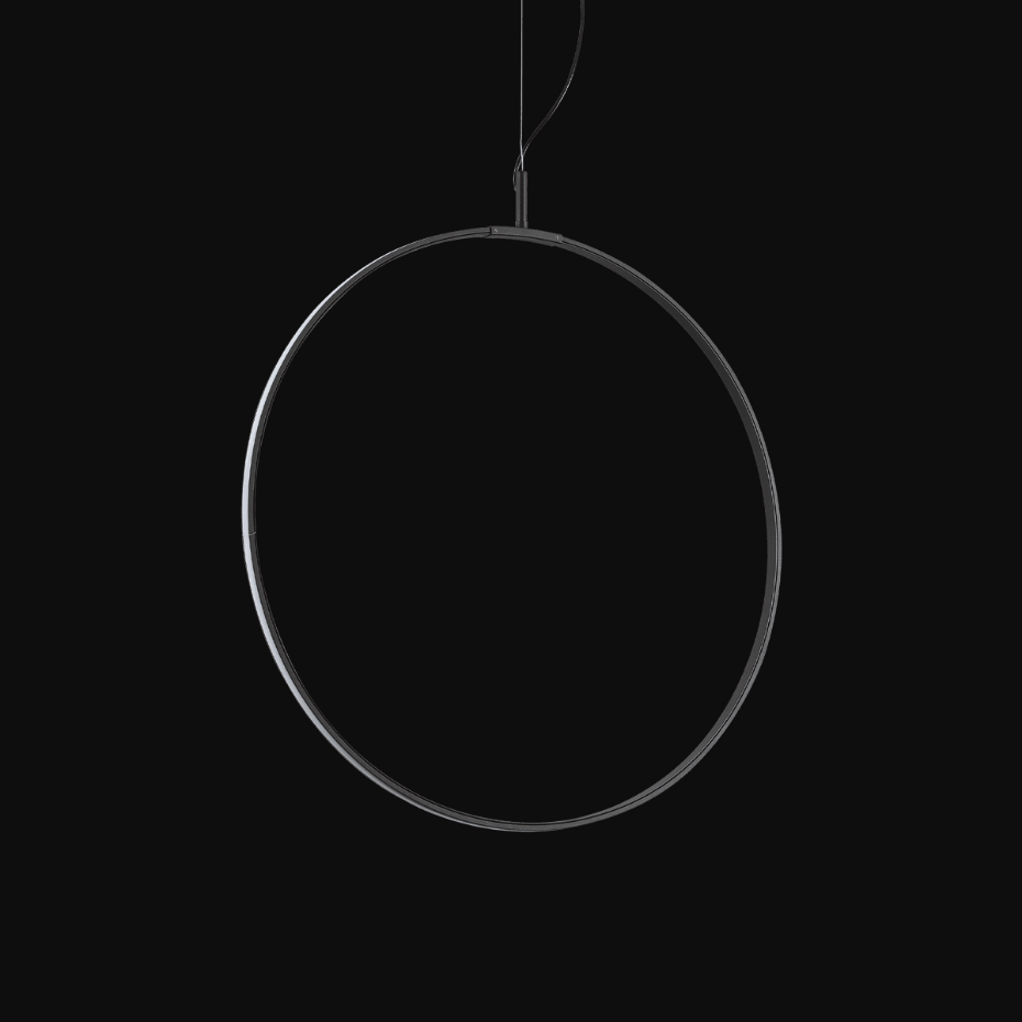 Suspension    CIRCUS