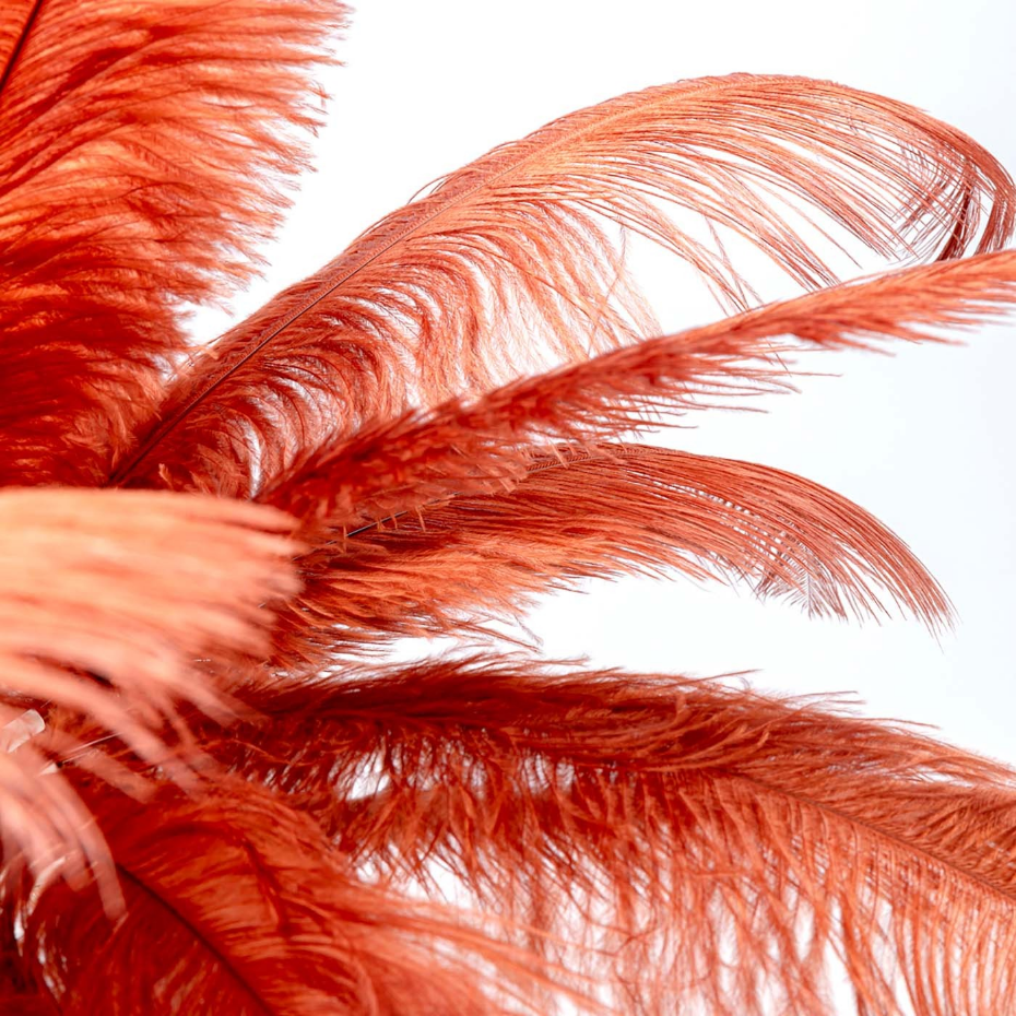 Lampe plumes