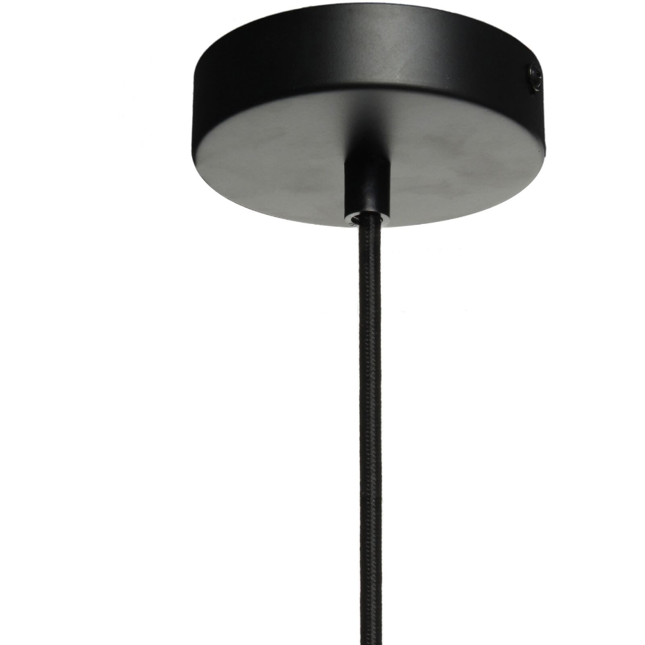 Suspension en verre modèle Planta