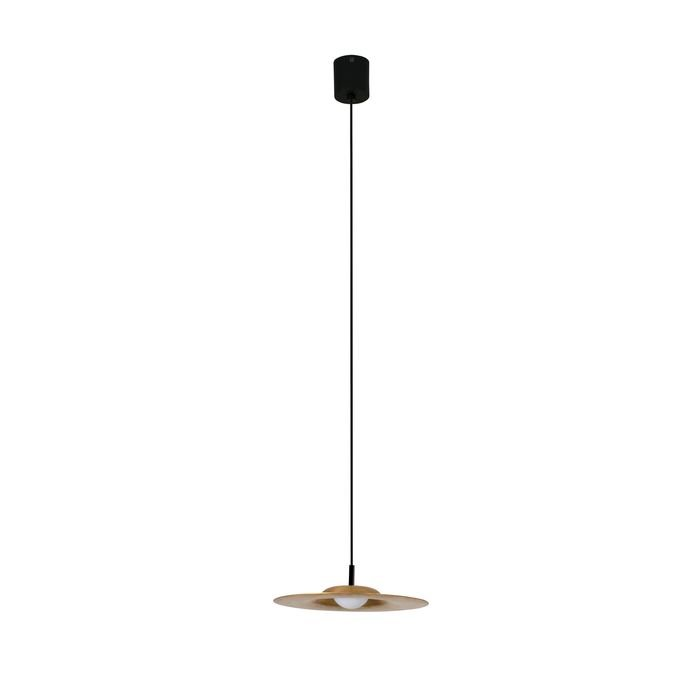 Suspension    COSMOS