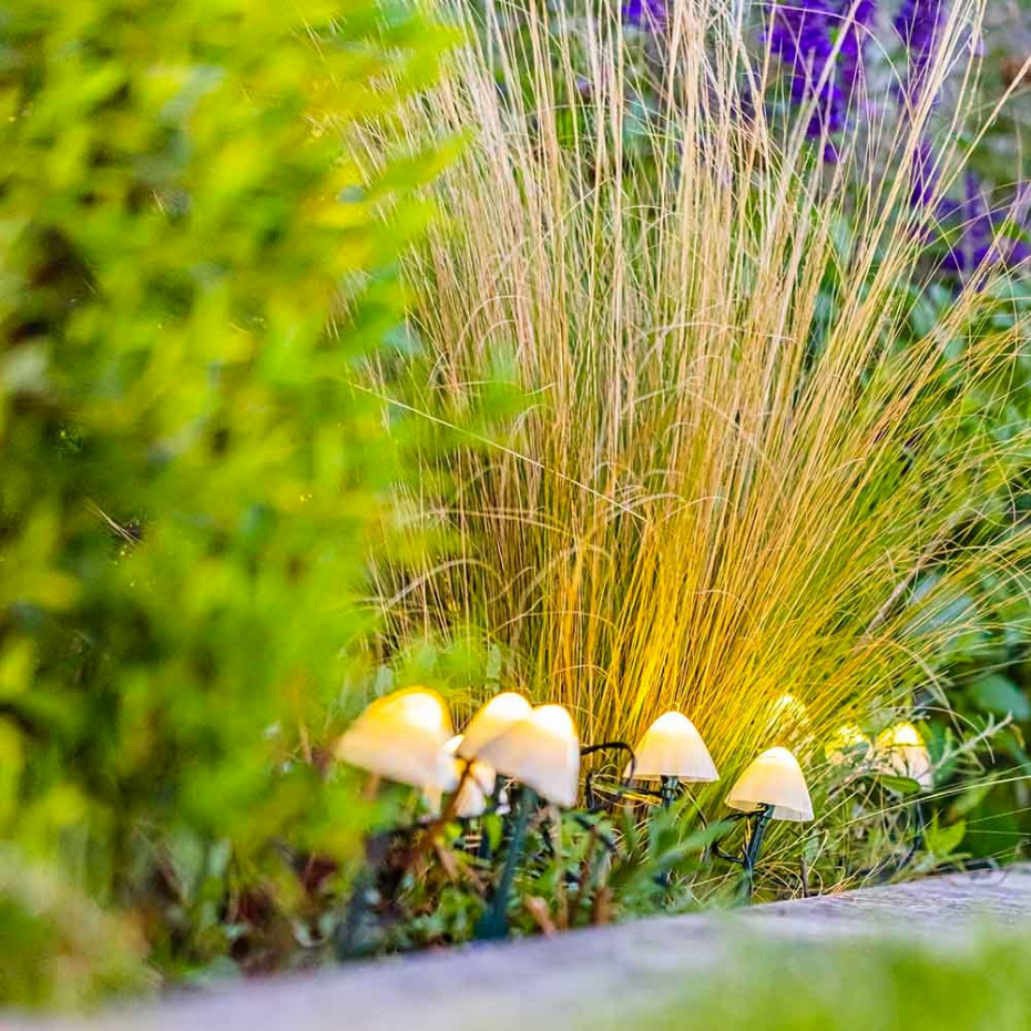 10 Champignons solaires connectés CHAMPY 3.8M