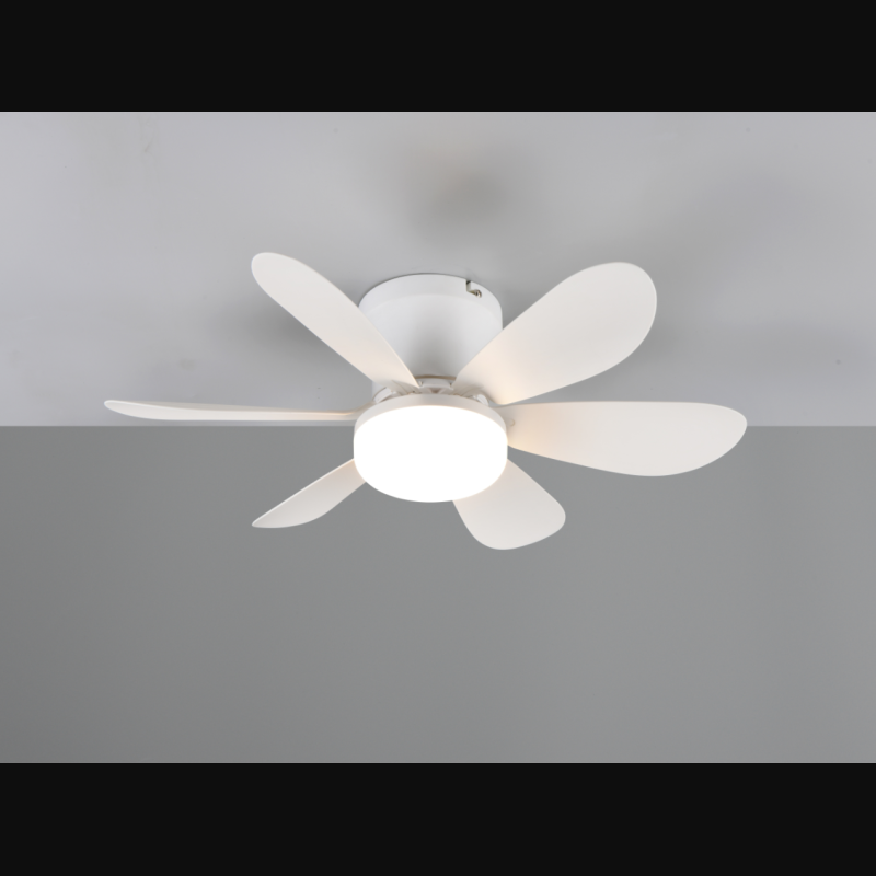 Ventilateur, LUND