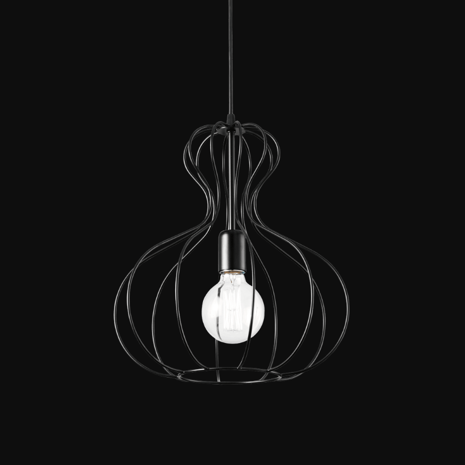 Suspension    AMPOLLA