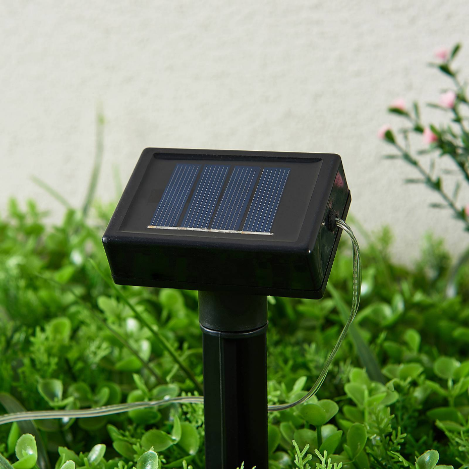 Lampe solaire LED, Lampini