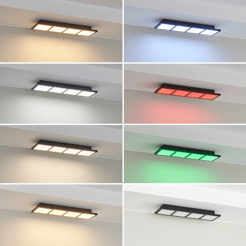 Plafonnier  moderneLED, Raymie