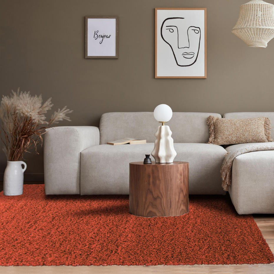 Tapis poils longs shaggy tissé motif uni UNI L