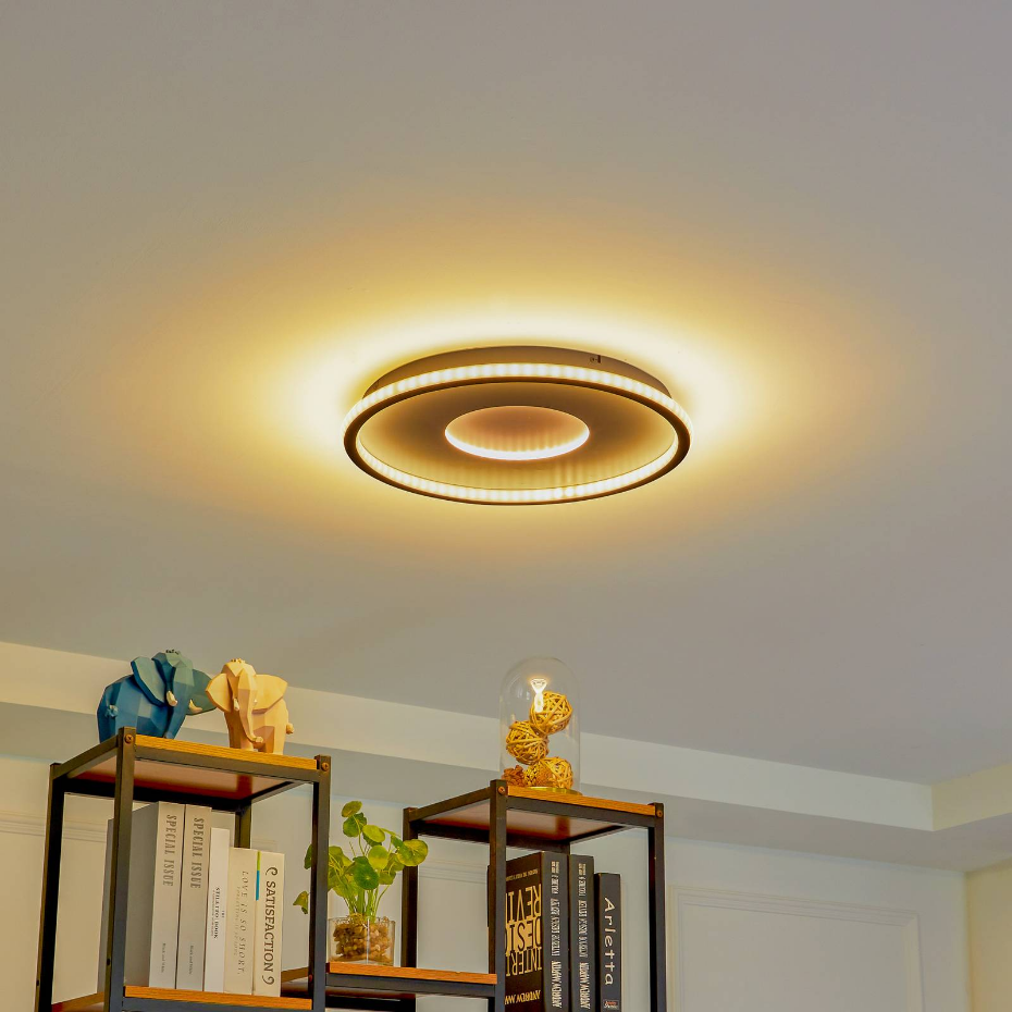 Plafonnier LED, Edenia