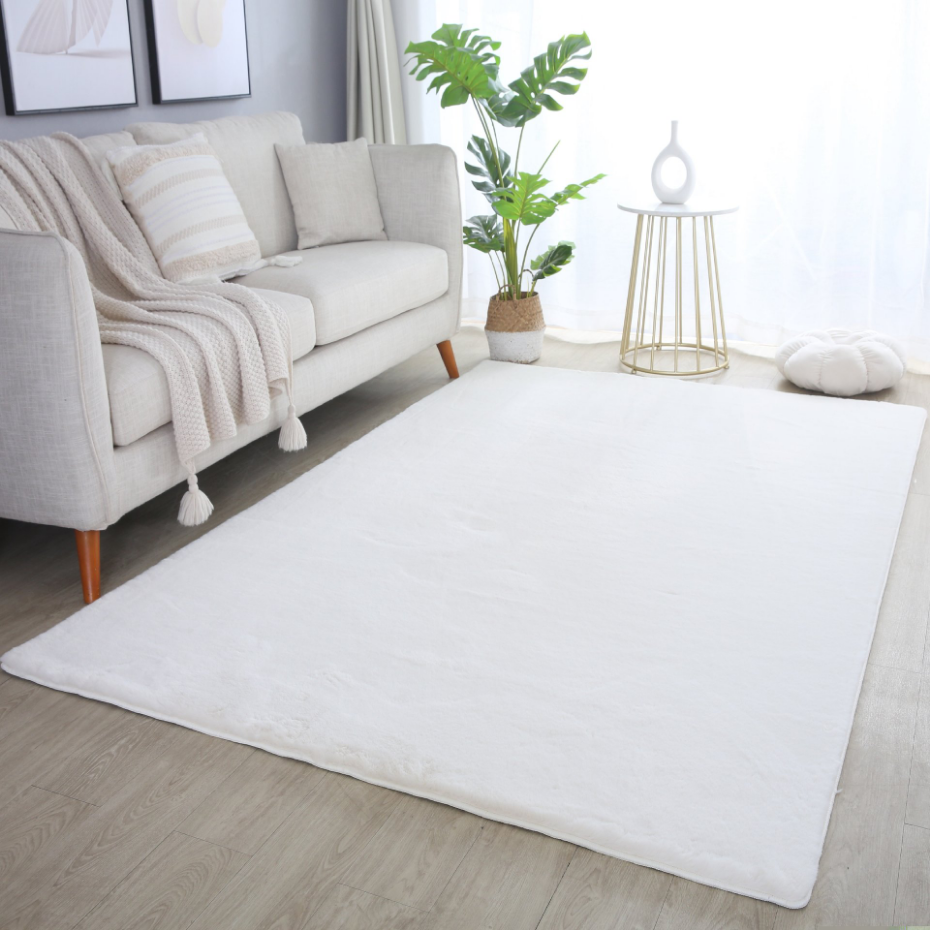 Tapis de salon doux BARROW