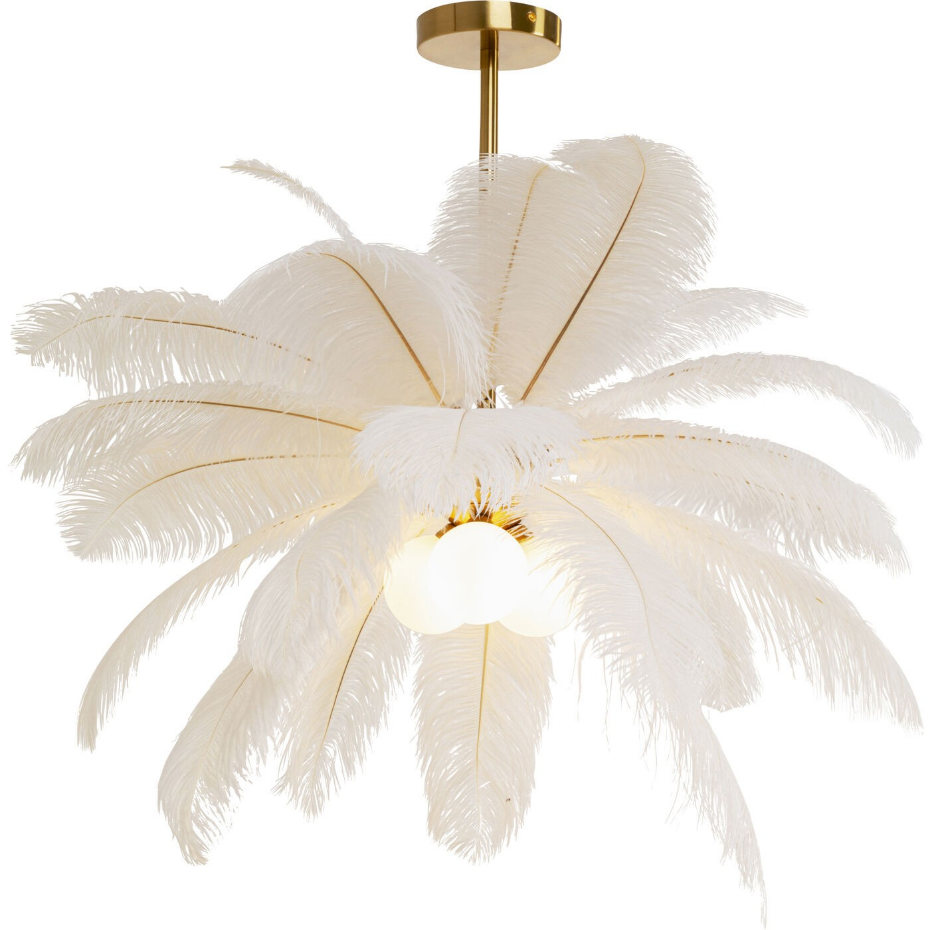 Suspension plumes