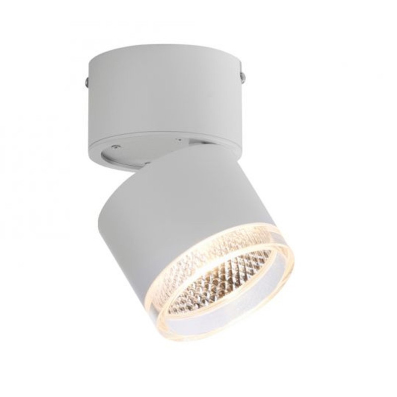 Gros Spot Nola Blanc Led Puissant Et Dimmable