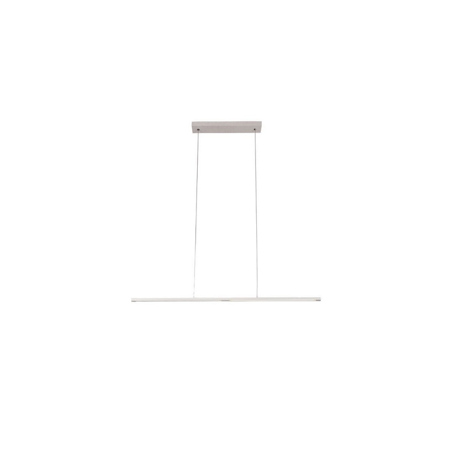 Suspension    TORCH