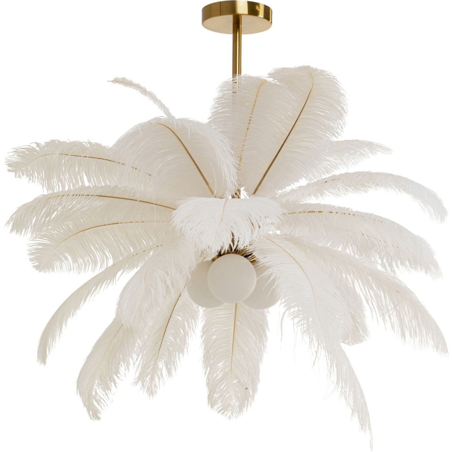 Suspension plumes
