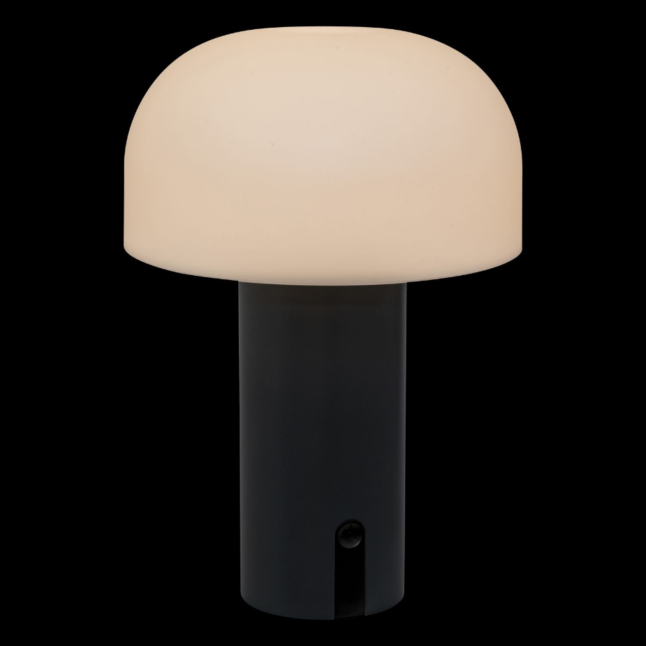 Lampe d'extérieure rechargeable en métal JANY