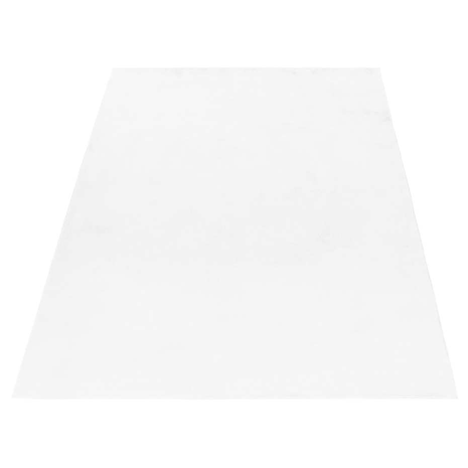 Tapis de salon doux BARROW