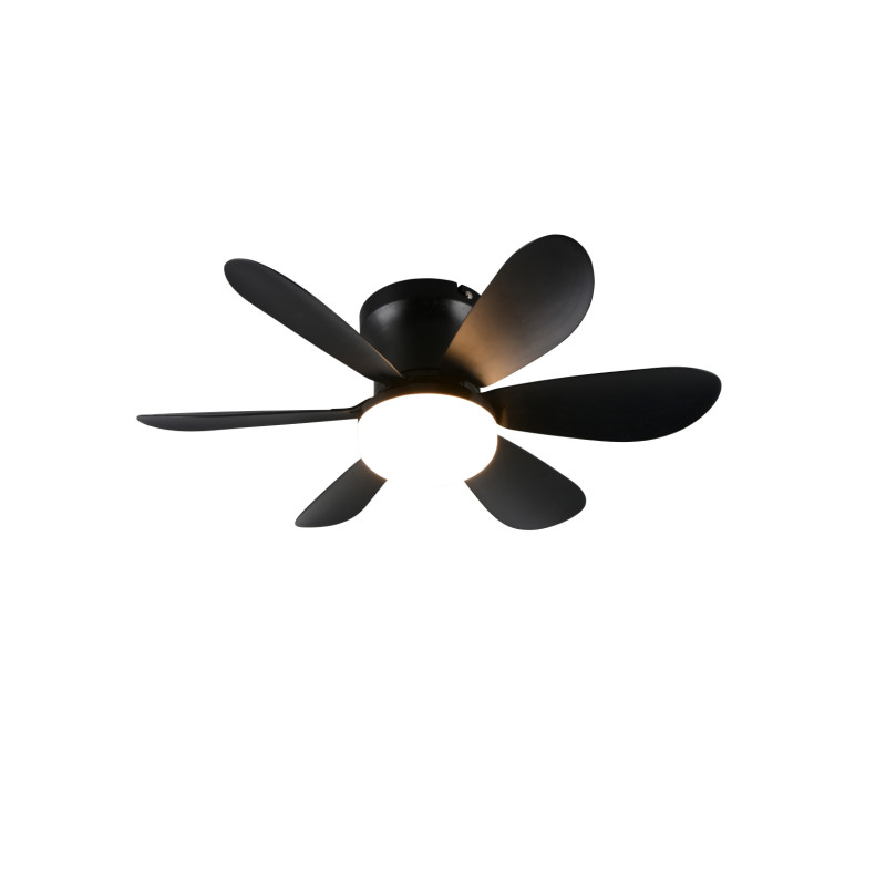 Ventilateur, LUND