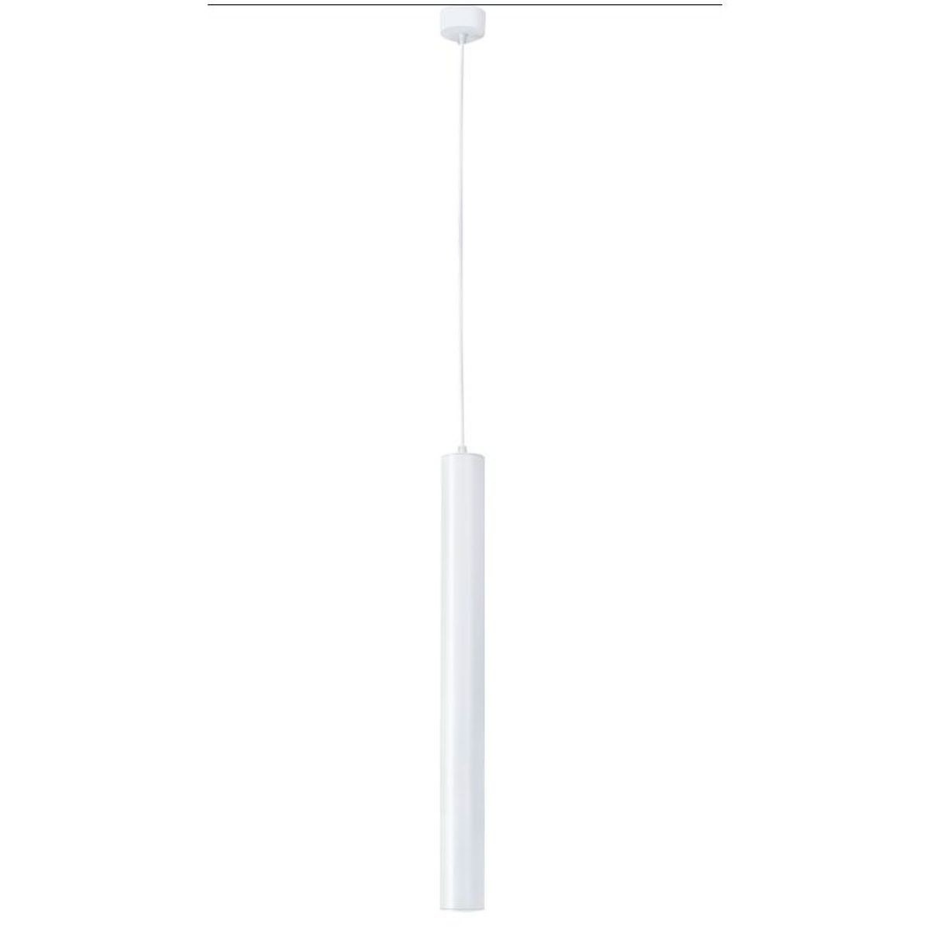 Suspension    BOLONIA