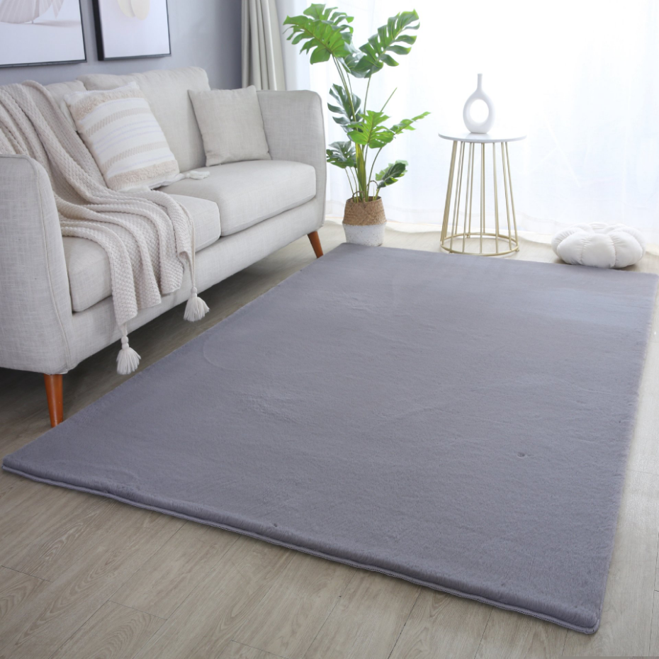 Tapis de salon doux BARROW